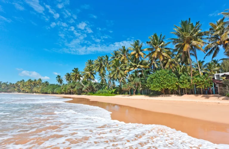 Sri Lanka Nature Safari 13 Days