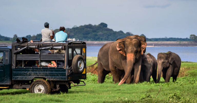 Sri Lanka Adventure 13 Days